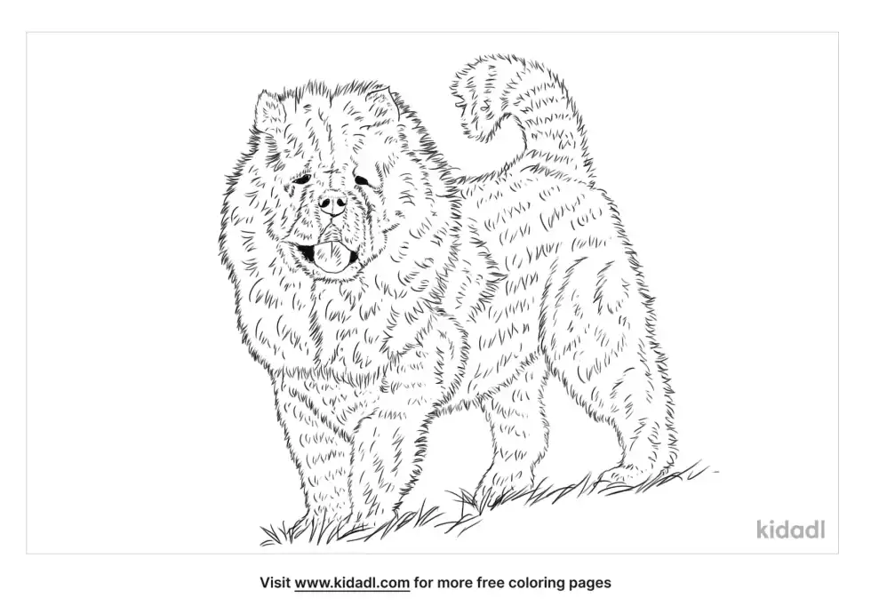 Chusky Coloring Page