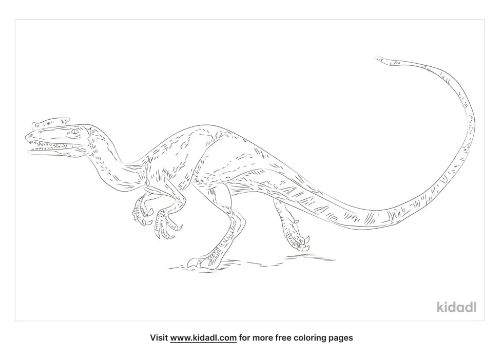 Proceratosaurus Coloring Page