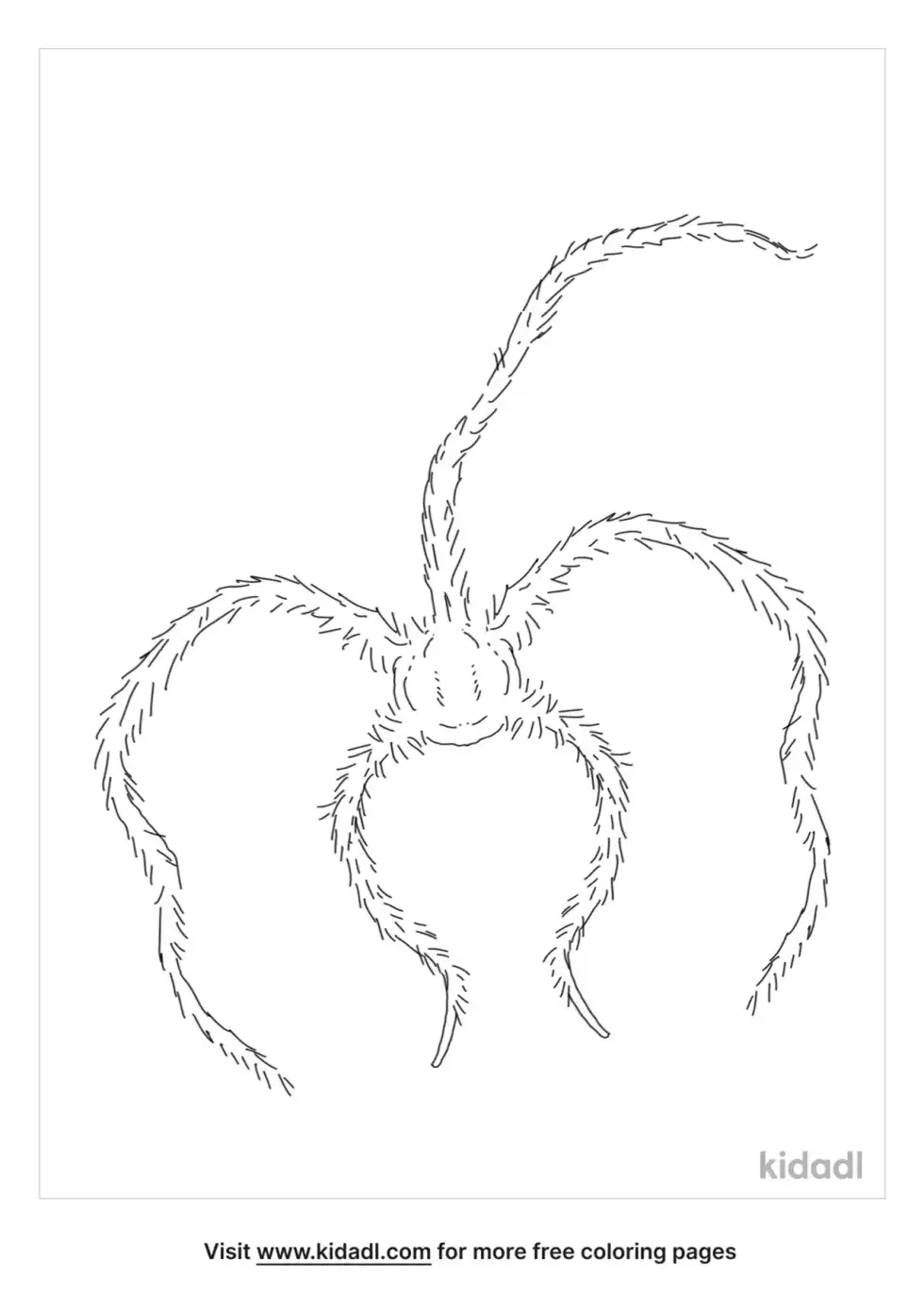 Brittle Star Coloring Page