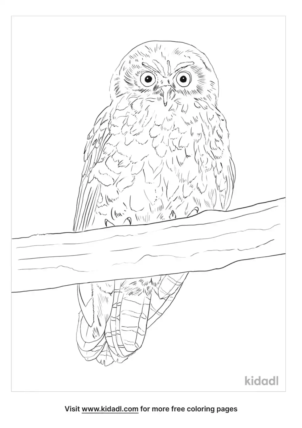 Morepork Coloring Page