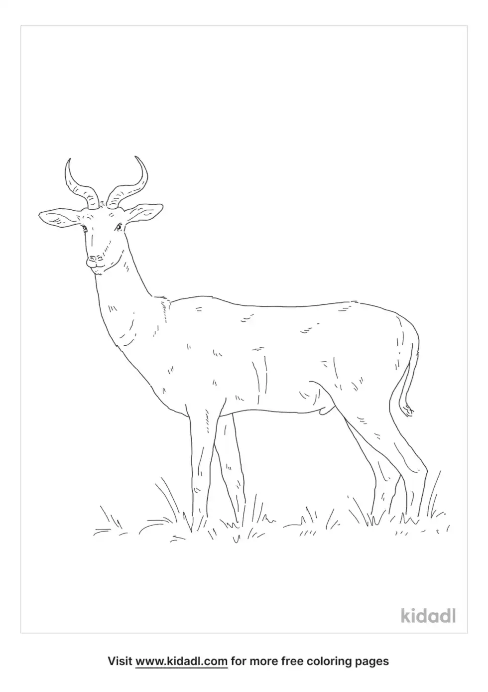 Dama Gazelle Coloring Page