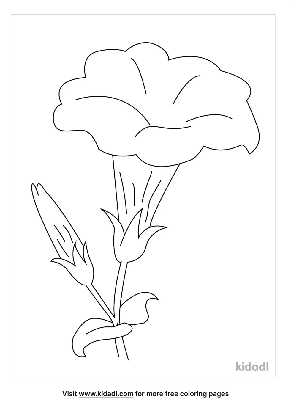 Yellow Elder Flower Coloring Page