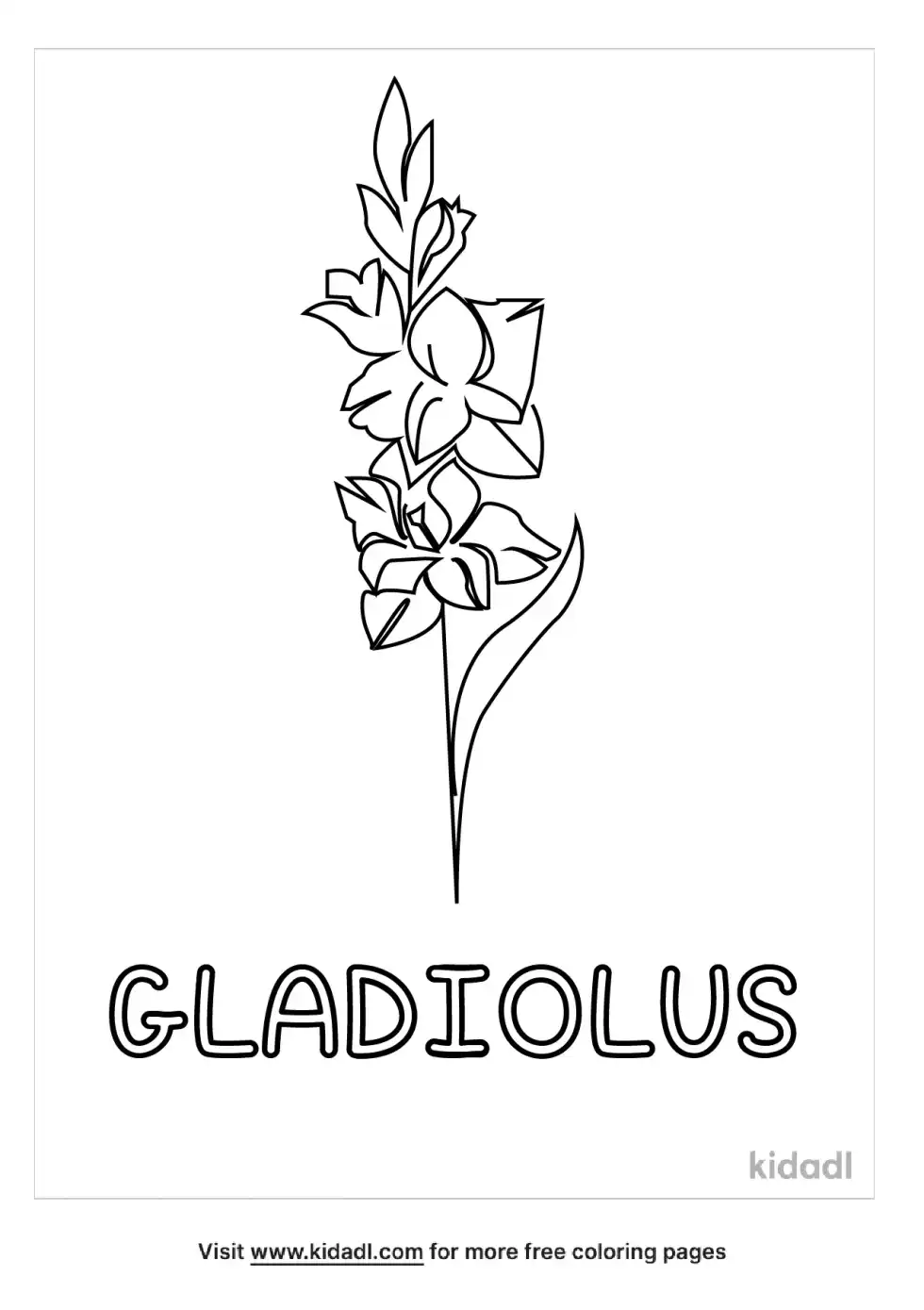 Gladiolus Coloring Page