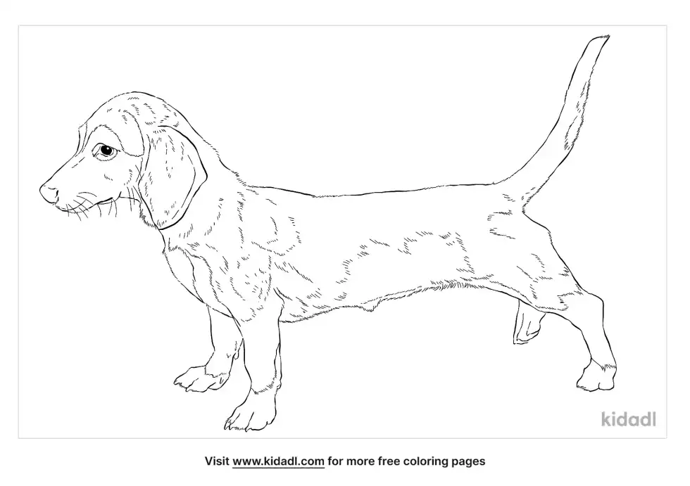 Doxle Coloring Page