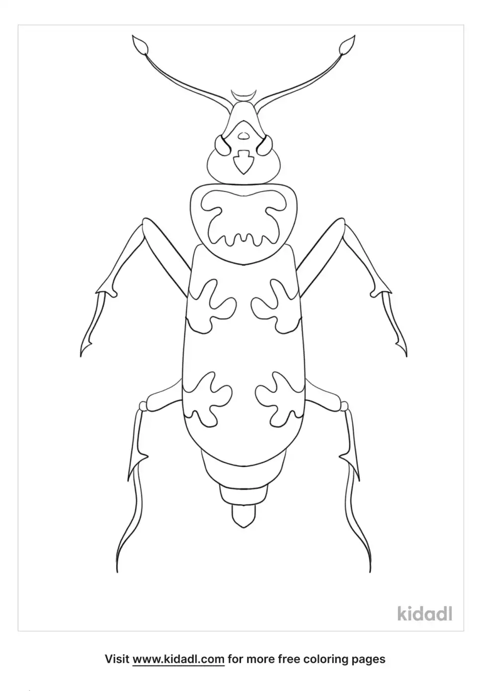 Burying Beetle Coloring Page