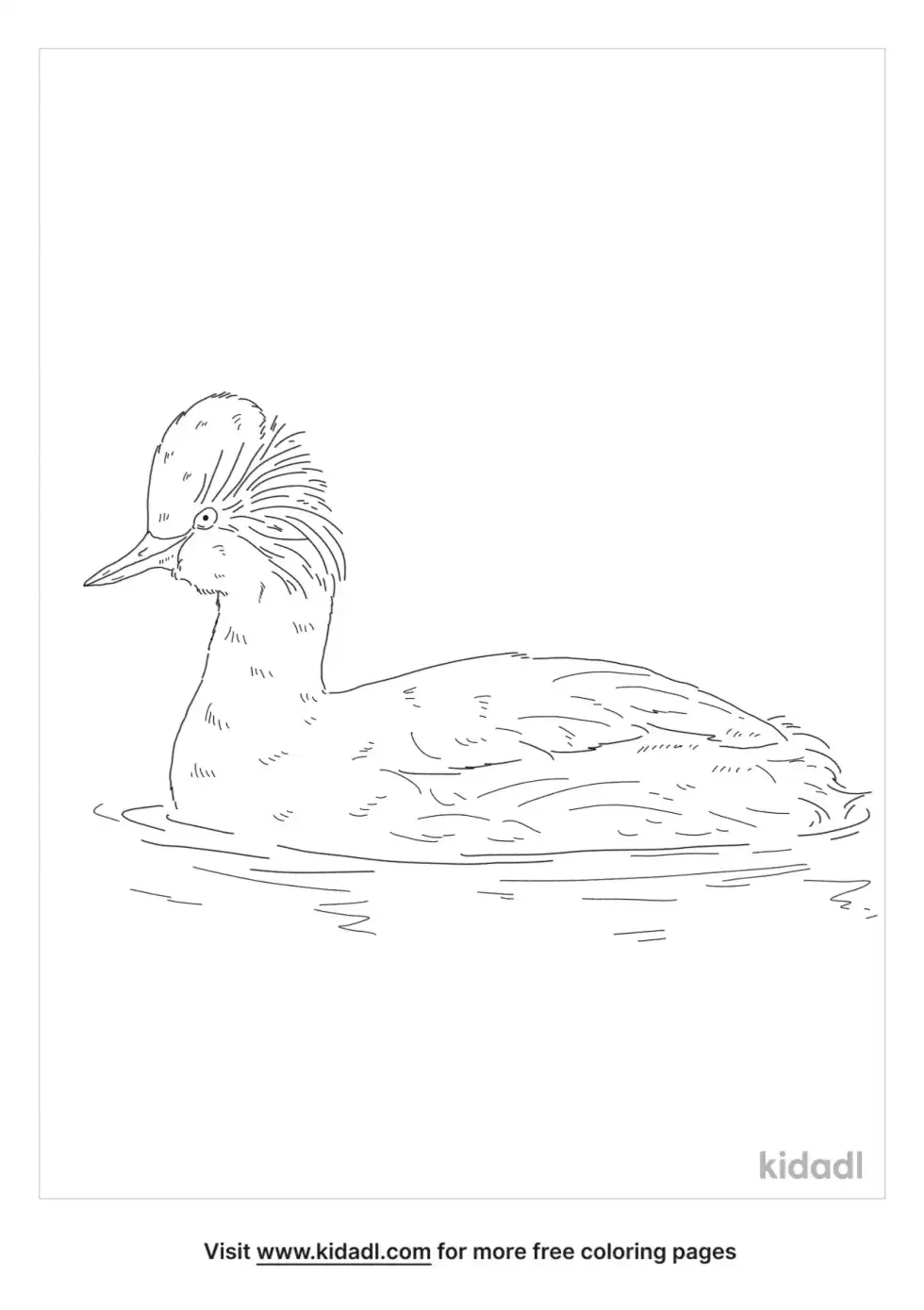 Grebe Coloring Page
