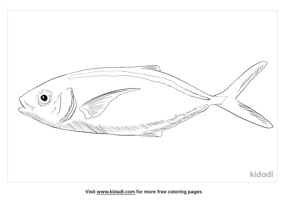 Bar Jack Coloring Page