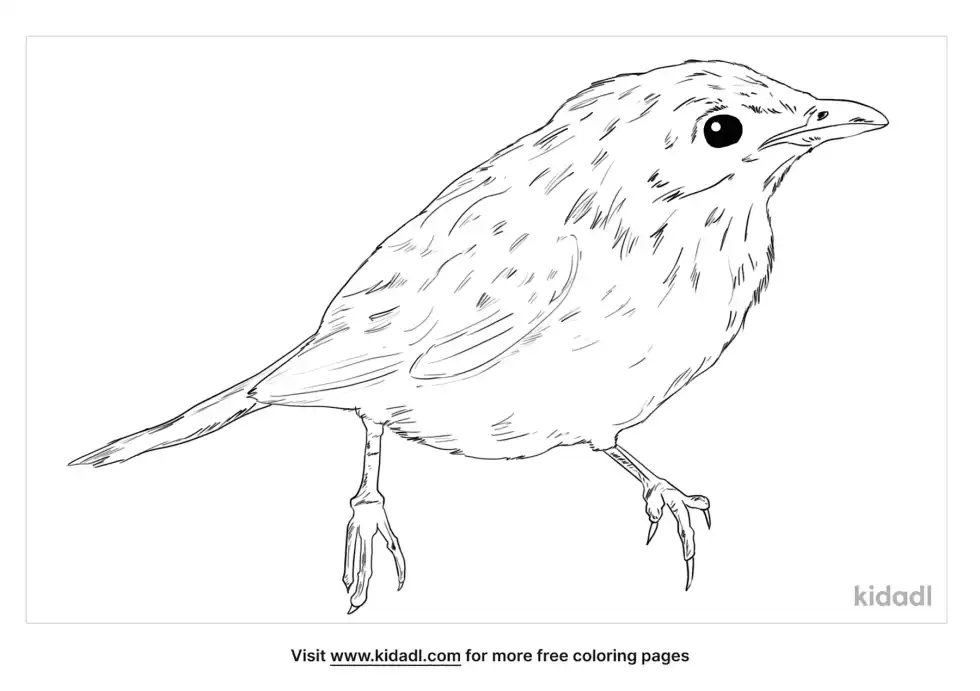 Metallic Starling Coloring Page