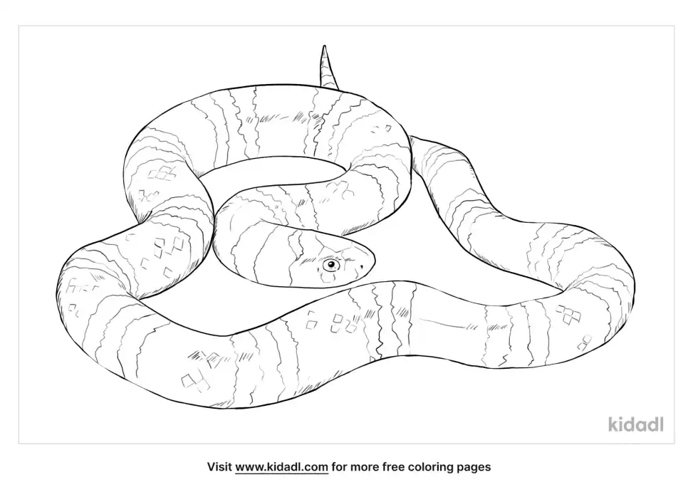 Scarlet Snake Coloring Page
