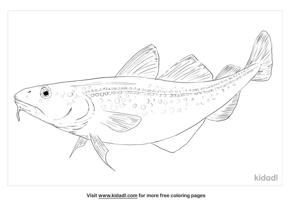 Pacific Cod Coloring Page