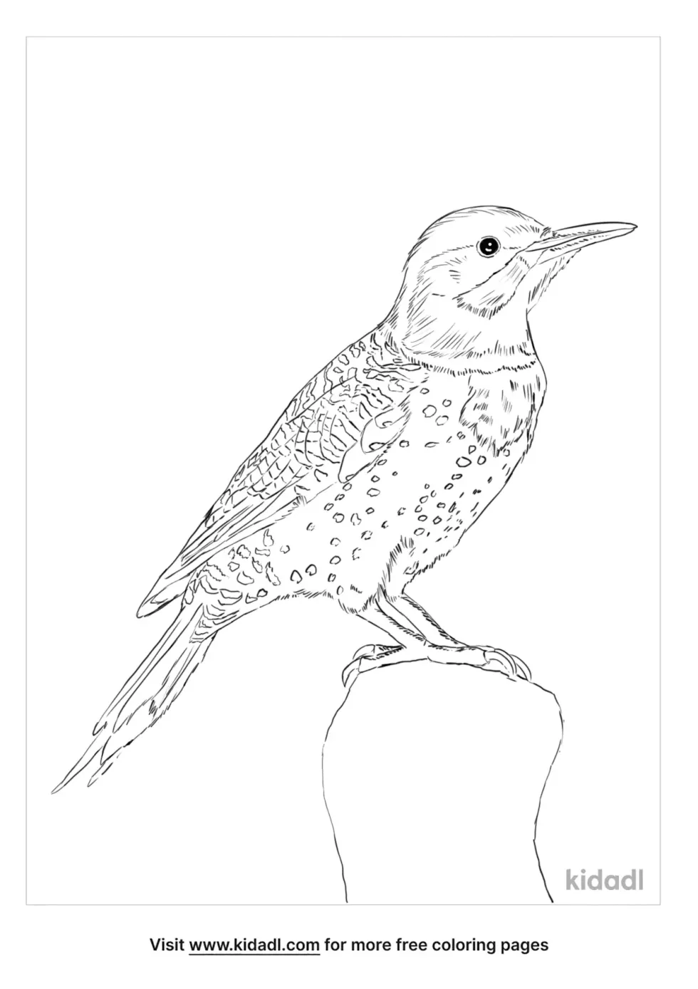 Gilded Flicker Coloring Page