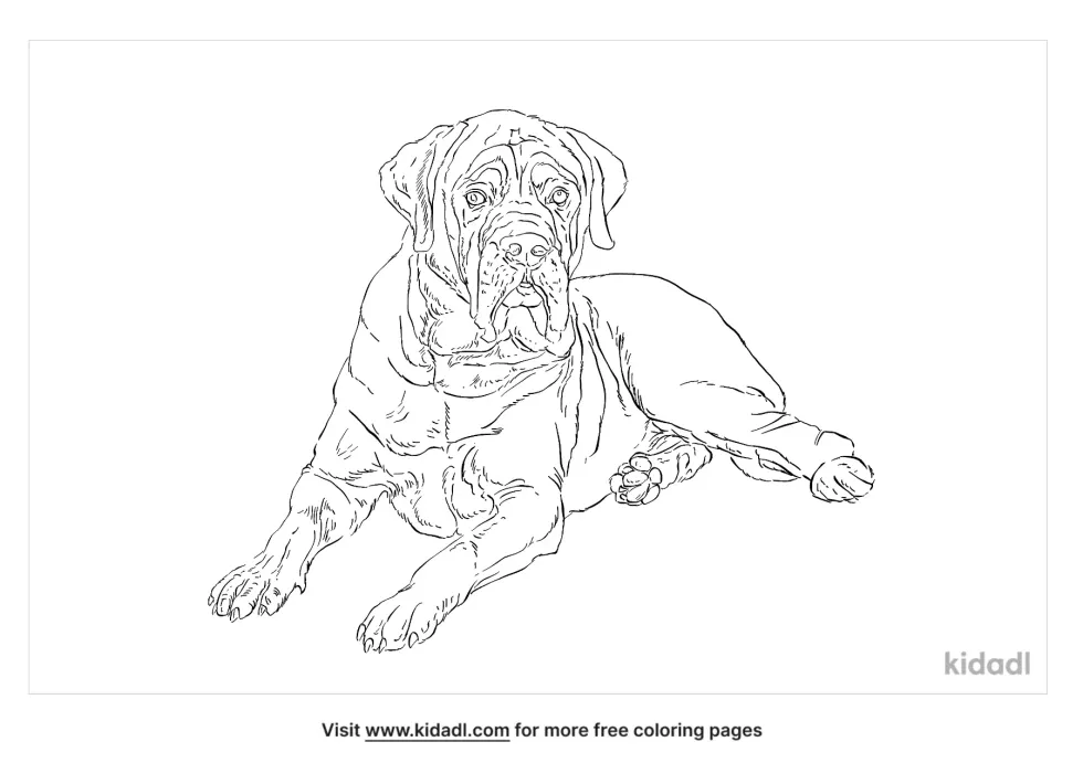 English Mastiff Coloring Page