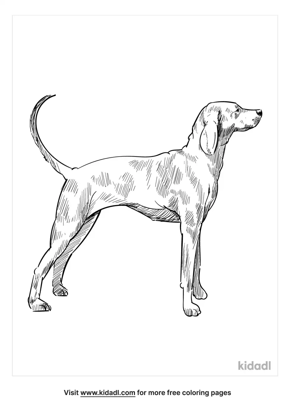 Bully Kutta Coloring Page