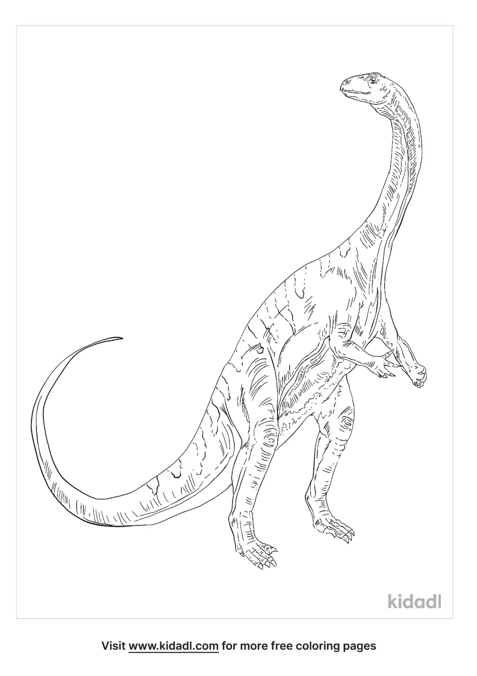 Ammosaurus Coloring Page