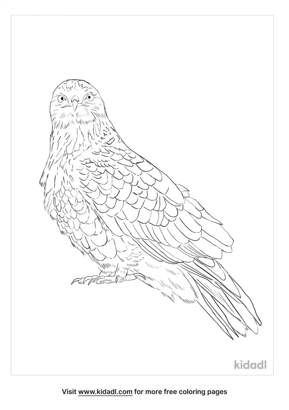 Rough Legged Hawk Coloring Page