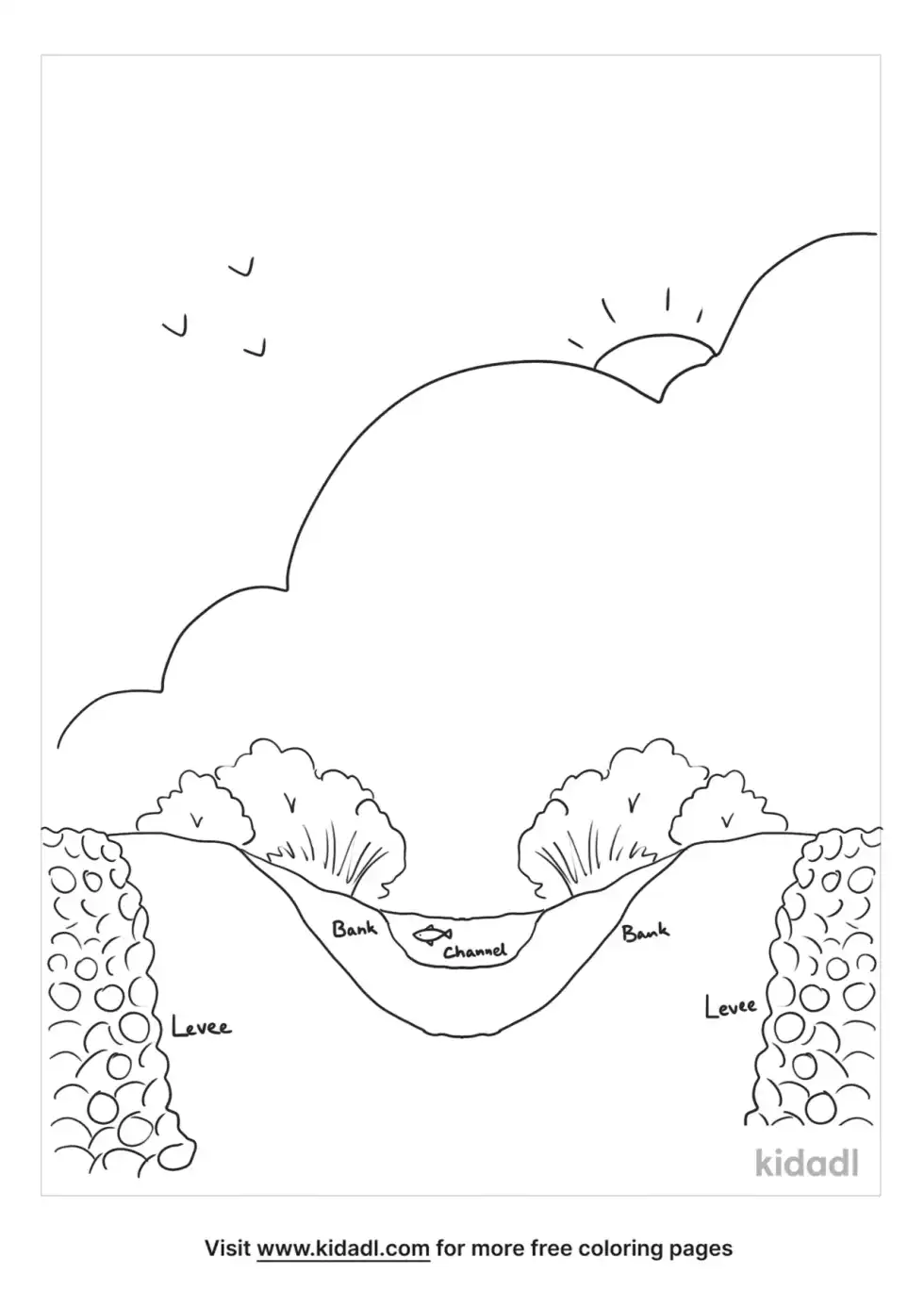 River Ecosystems Coloring Page