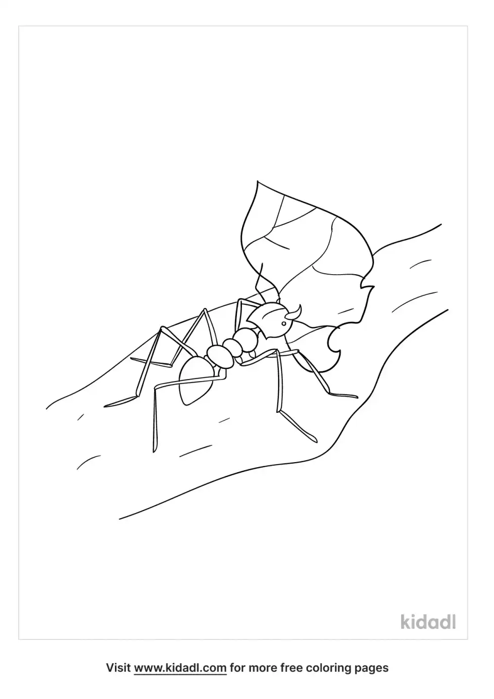 Leaf Cutter Ant Coloring Page