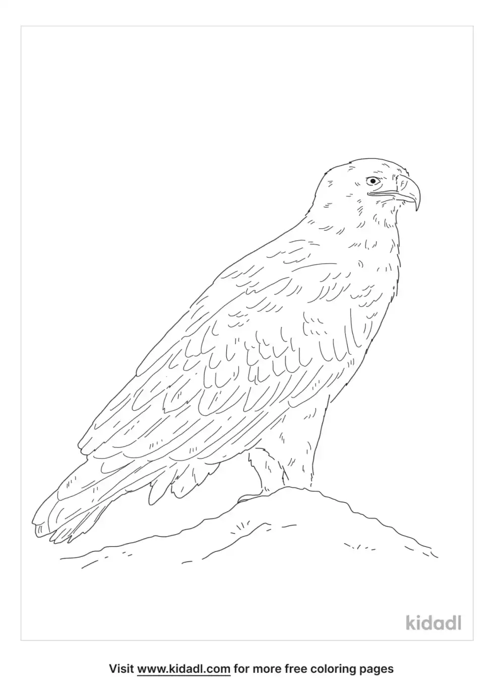Steppe Eagle Coloring Page