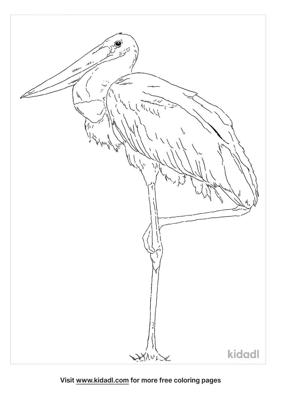 Jabiru Coloring Page