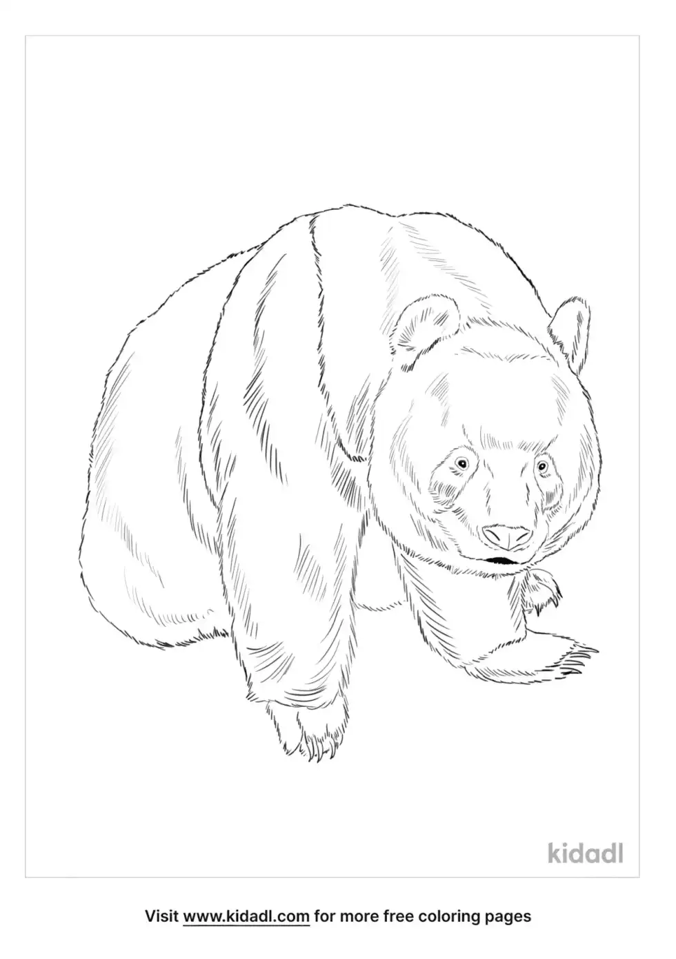 Qinling Panda Coloring Page