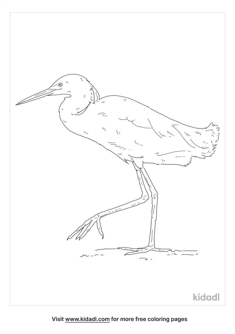 Snowy Egret Coloring Page