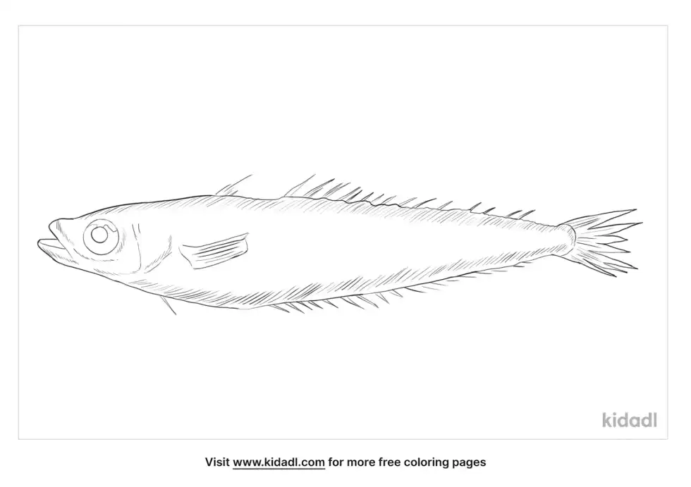 Antarctic Silverfish Coloring Page