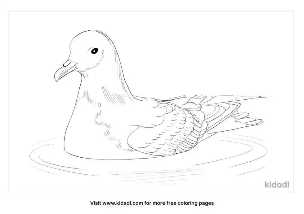 Antarctic Petrel Coloring Page