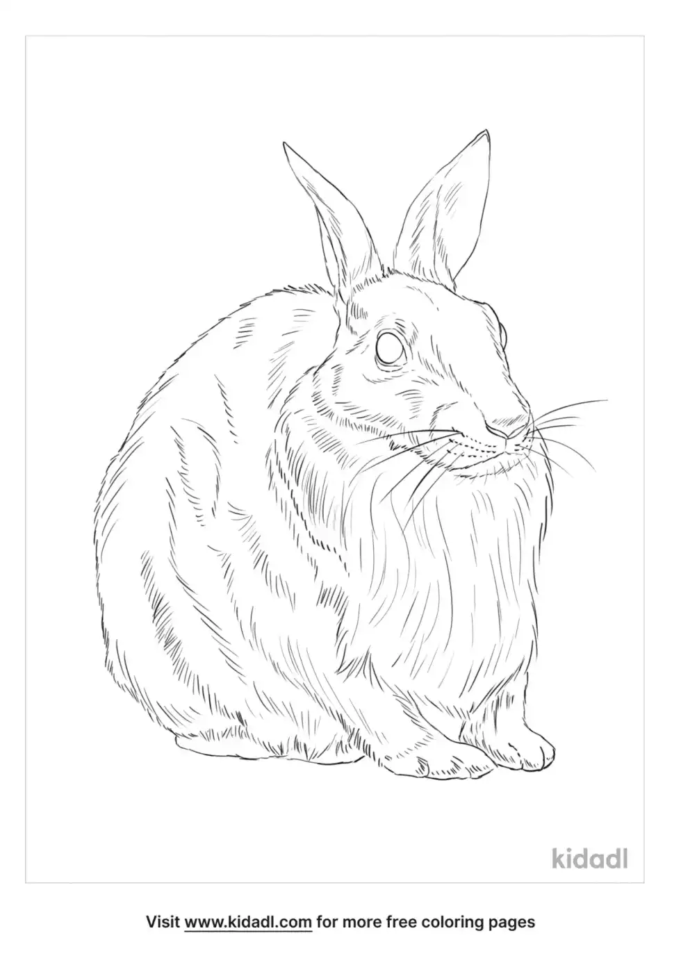 Golden Snub Nosed Monkey Coloring Page