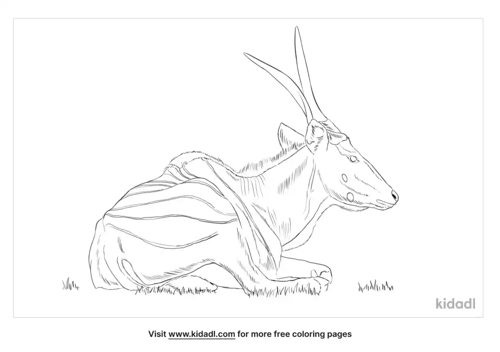 Giant Eland Coloring Page