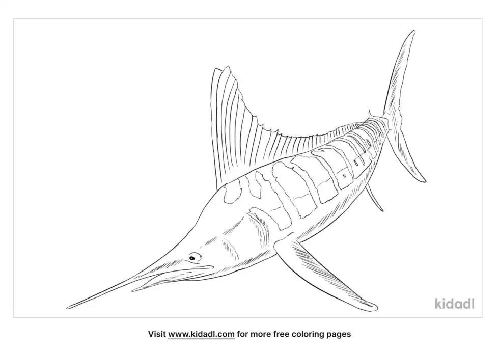 Striped Marlin Coloring Page