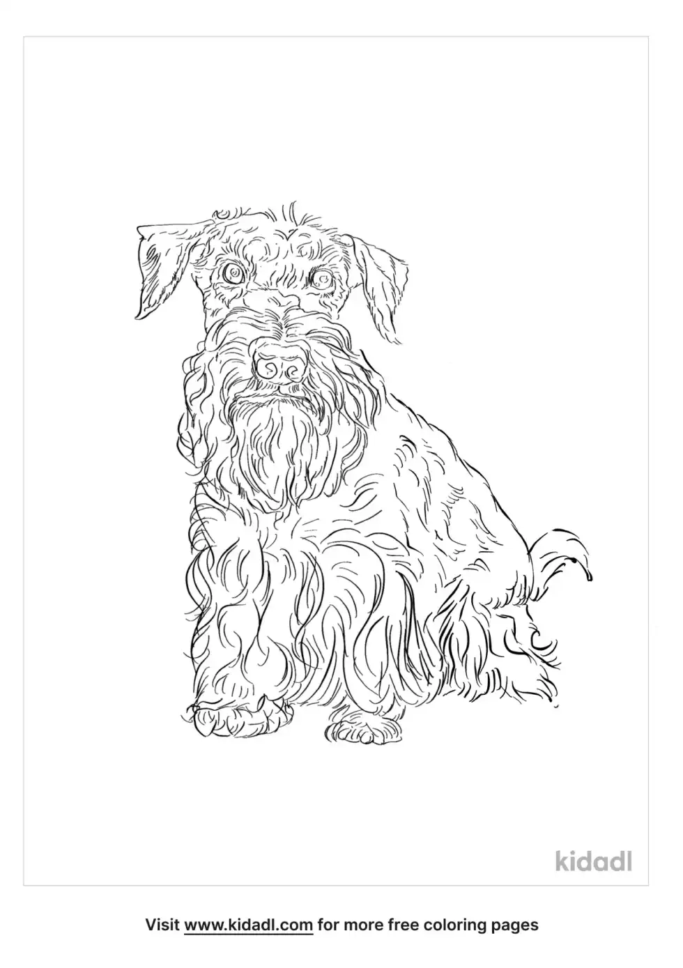 Miniature Schnauzer Coloring Page