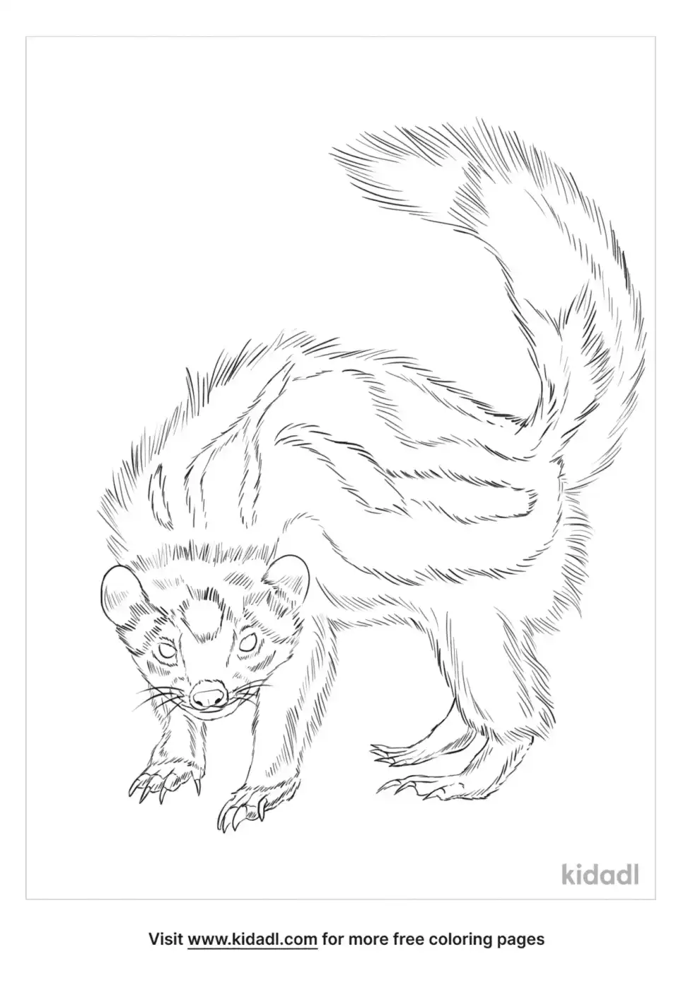 Zorilla Coloring Page