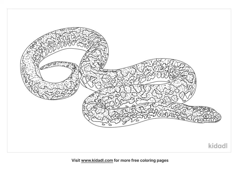 Children's Python Coloring Page