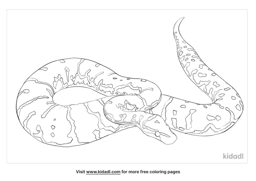 Angolan Python Coloring Page