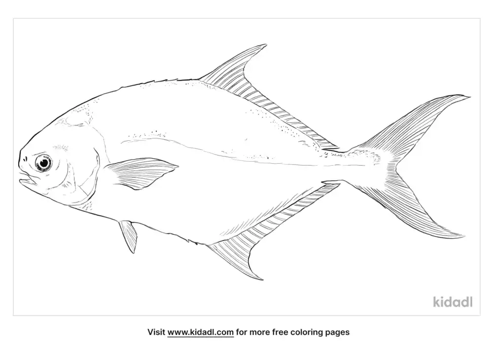 Pompano Coloring Page