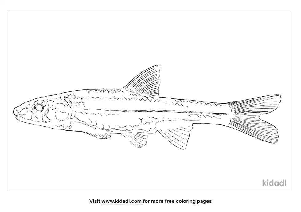 Silverjaw Minnow Coloring Page