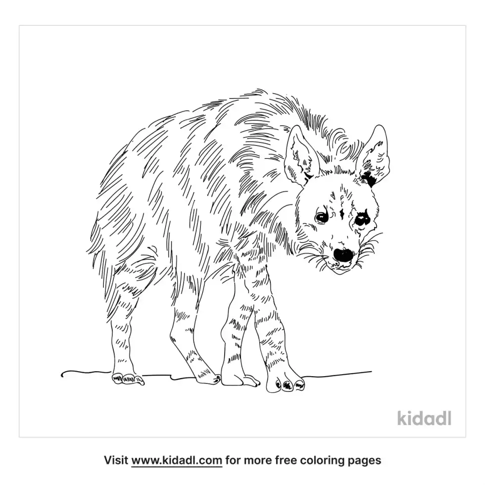 Brown Hyena Coloring Page