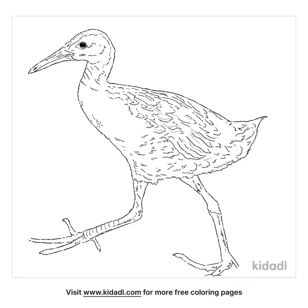 King Rail Coloring Page