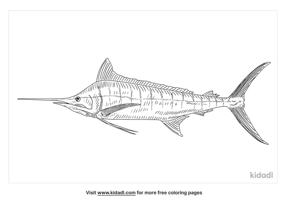 Blue Marlin Coloring Page