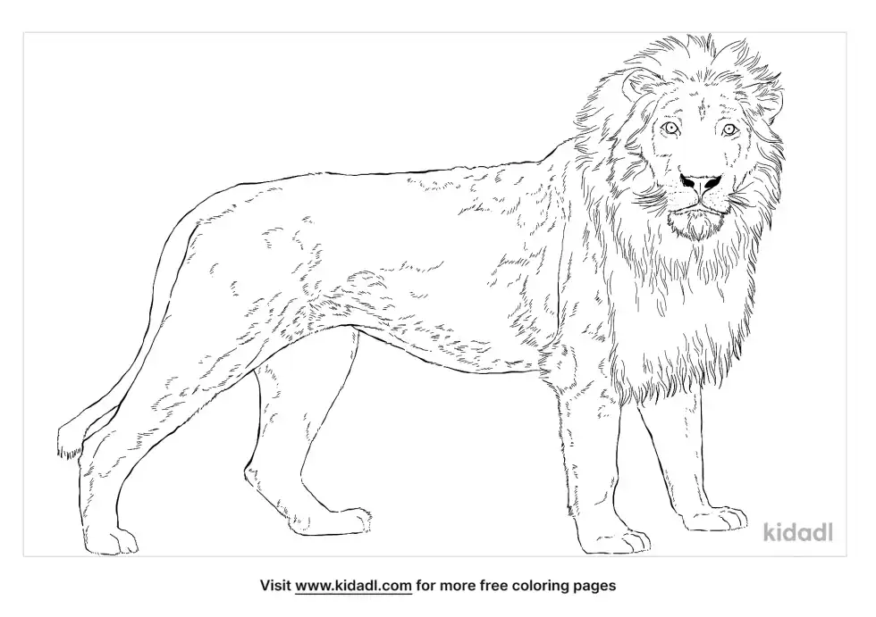 White Lion Coloring Page