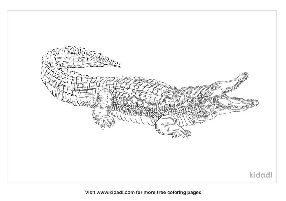Mugger Crocodile Coloring Page