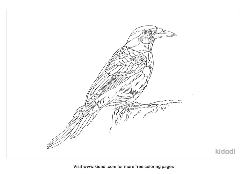Roller Coloring Page