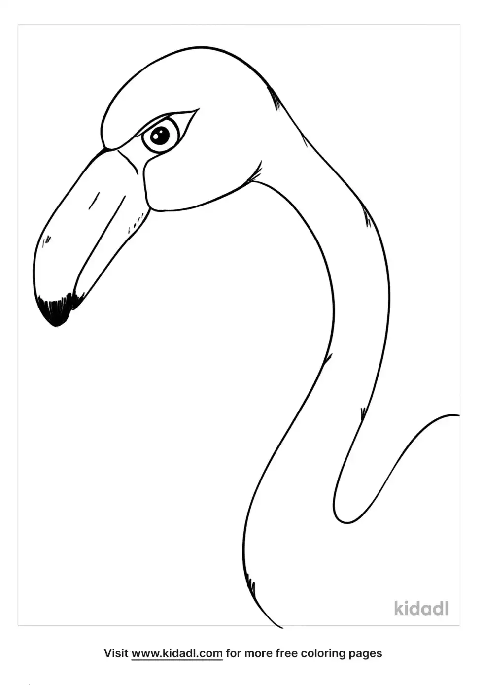 Flamingo Head Coloring Page