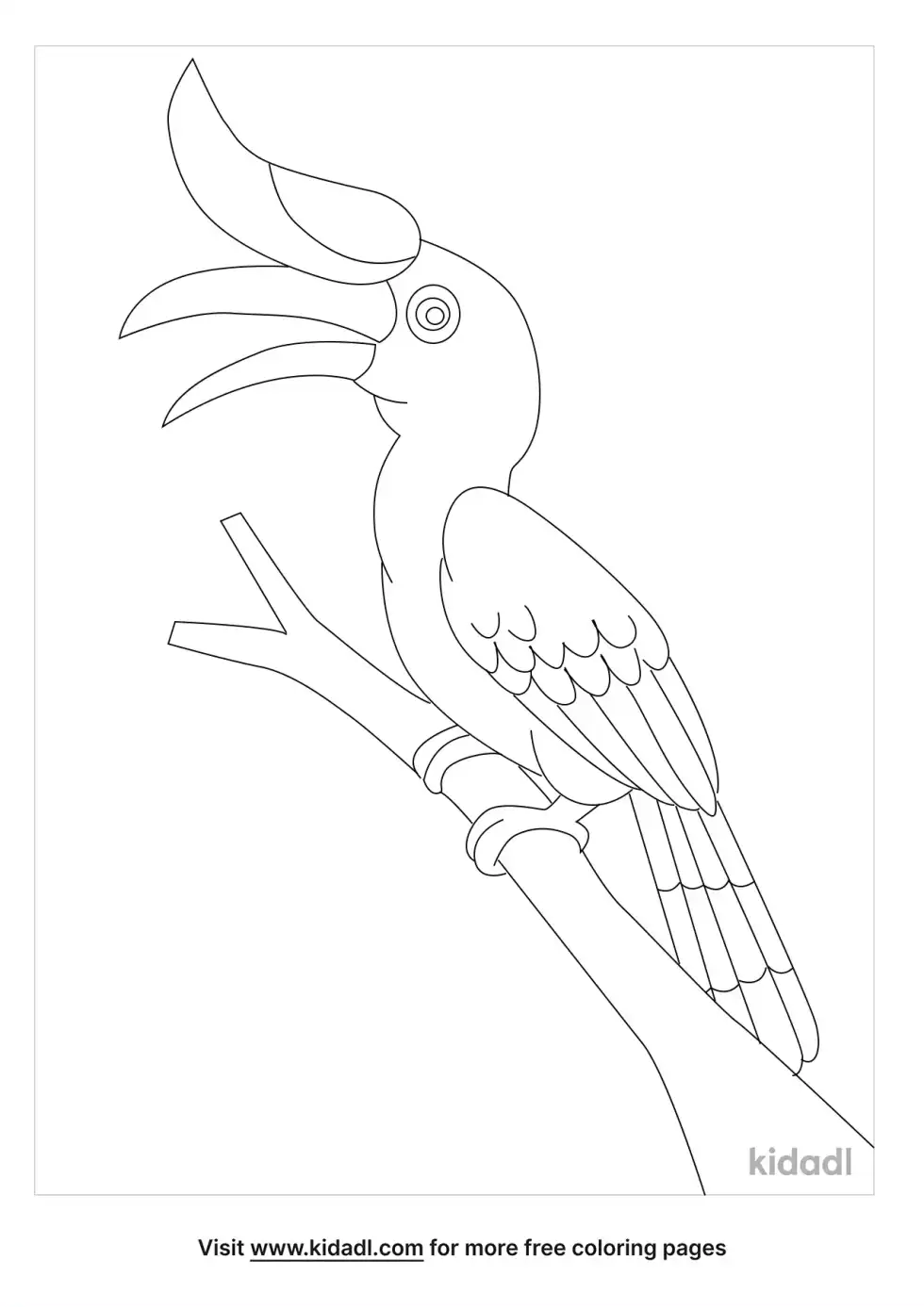 Hornbill Bird Coloring Page