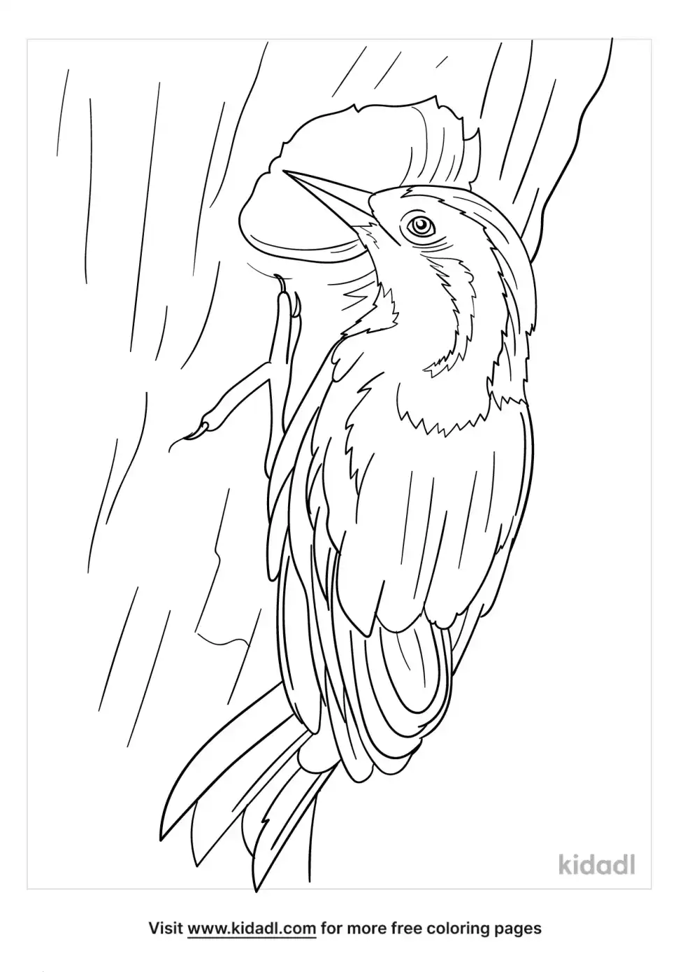 Cuban Green Woodpecker Coloring Page