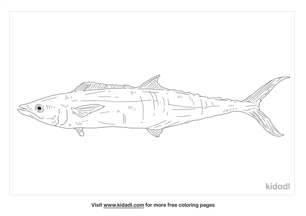 Japanese Spanish Mackerel Coloring Page