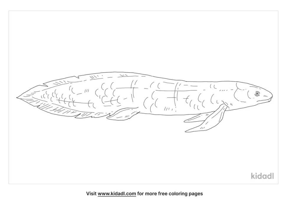 Australian Lungfish | Kidadl
