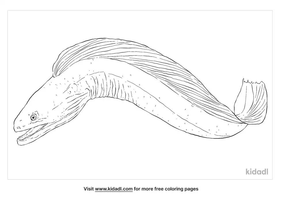 Green Moray Eel Coloring Page