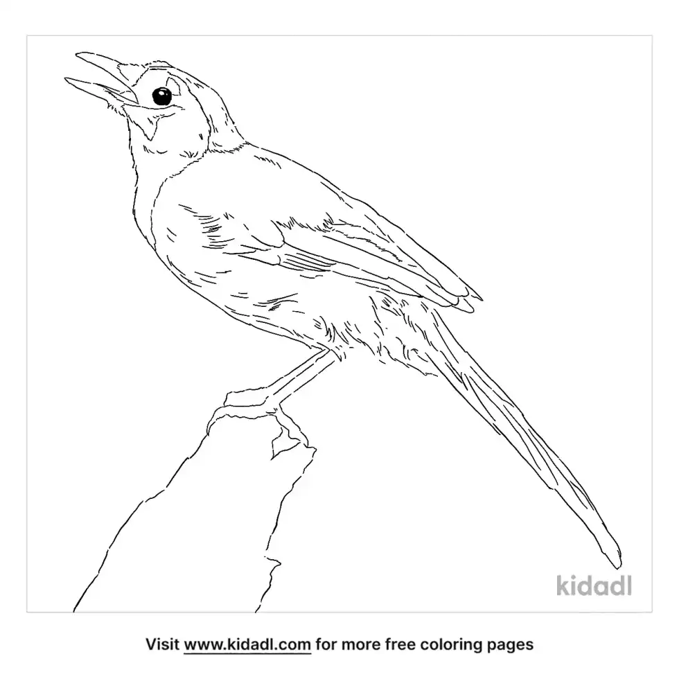 Green Jay Coloring Page