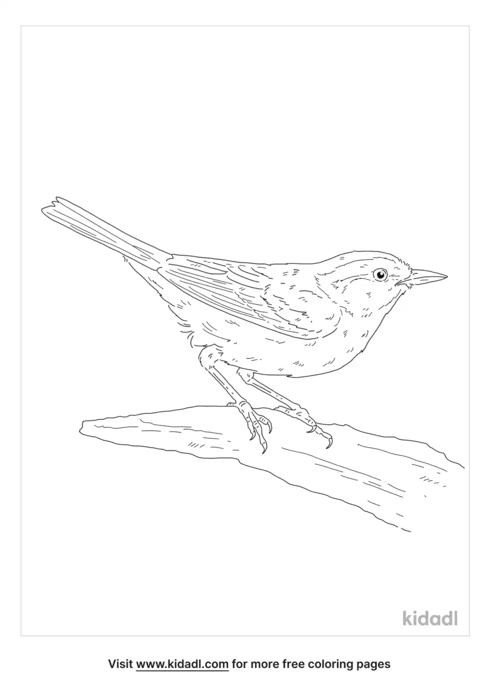 Golden-Cheeked Warbler Coloring Page